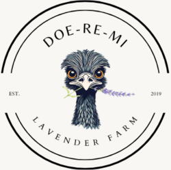 Doe-Re-Mi Lavender Farm