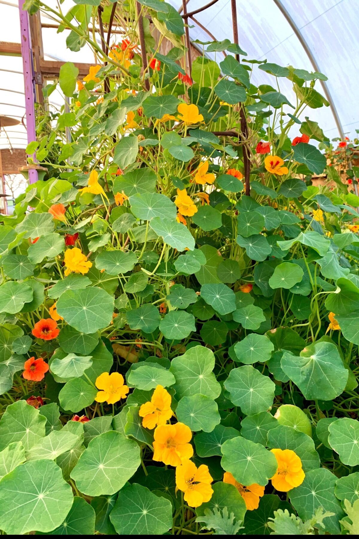 20230204_171030_IMG_7619(1)