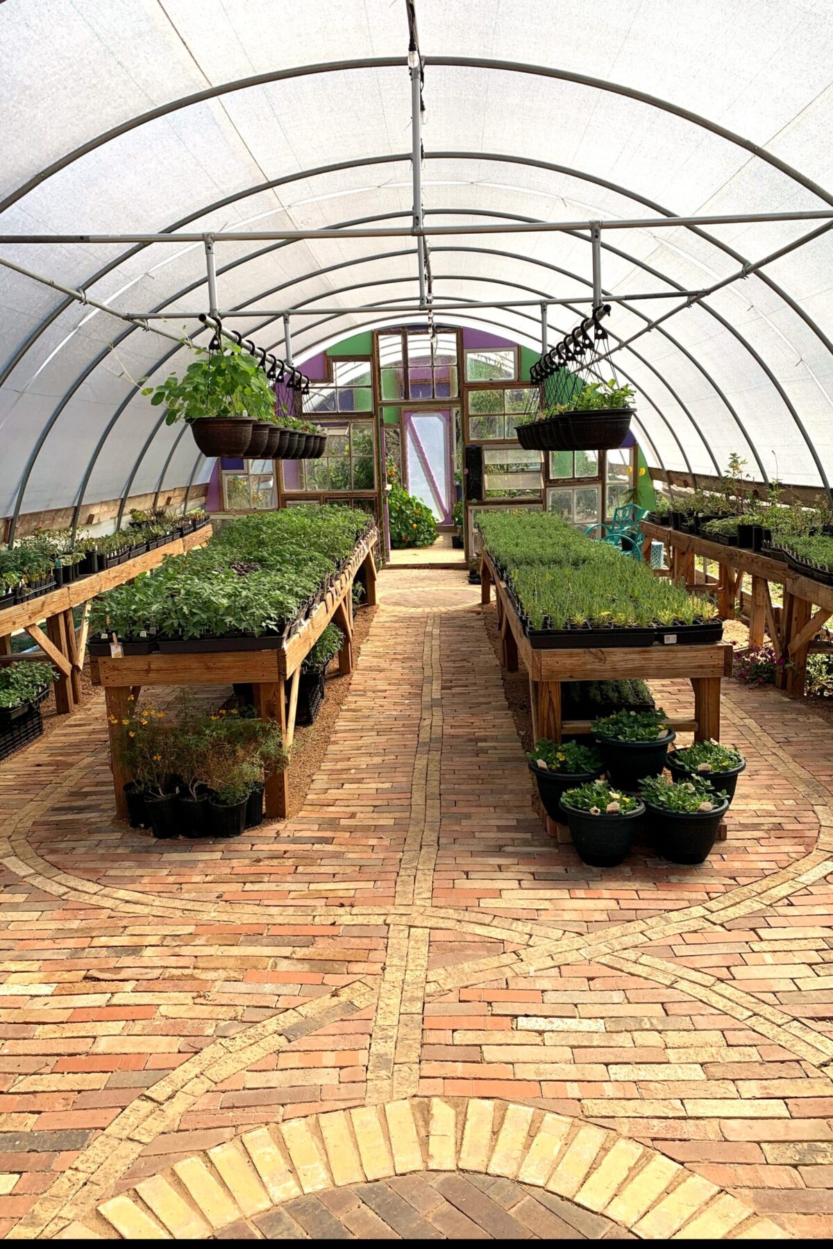 20230303_104851_IMG_7723